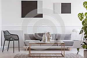 Knick knacks on elegant coffee table in front of grey sofa in luxury living room interior photo