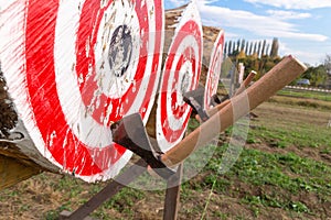 Knife and ax throwing contest italy