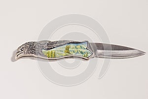 Knife with bird shaped handle and ceramic inlay