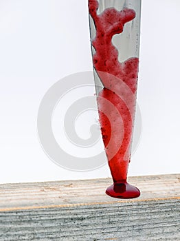 Knife and Blood Stuck in Wood