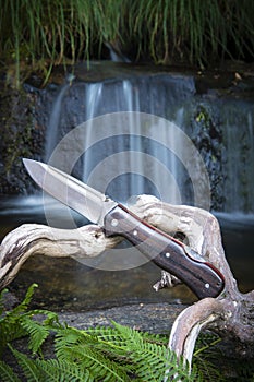 Knife for bushcraft and survival in the wild