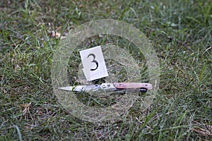 Knife on the grass, investigation, murder photo