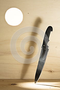 Knife Lodged In Wood