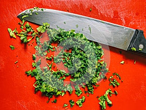 Knife and parsley on red table. Parsley is a herbaceous plant of the Apiaceae family