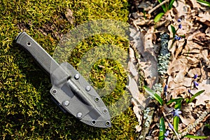 Knife with the plastic kydex sheath in the forest background