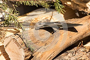 Knife resting on logs