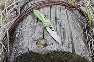 Knife with a serration blade. Old stump. Clouse-up.