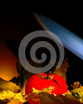 knife strikes a tomato resting on a bed of lettuce