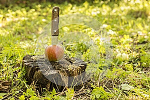 Knife stuck a in a fresh apple and inserted into the moldering s