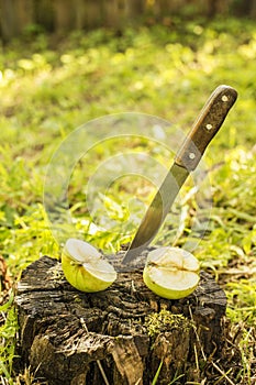 Knife stuck a moldering stump on which apple is cut into two segments in the garden