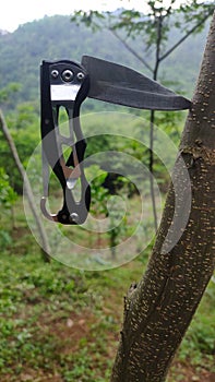 knife stuck in a tree in the middle of the forest
