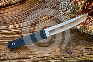 Knife Tanto with Katana tip, into the wood.