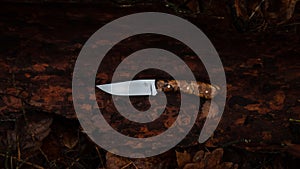 A knife in a wooded setting