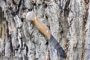 Knife with a wooden handle
