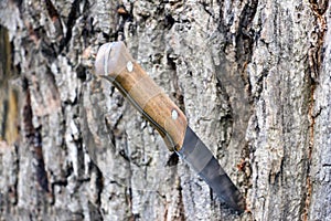Knife with a wooden handle photo