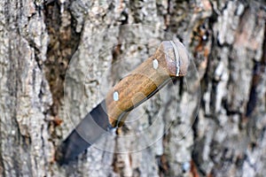 Knife with a wooden handle photo