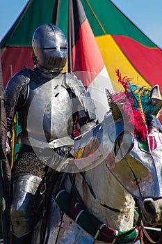 Knight in Armor