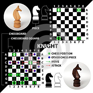 Knight. Chess piece made in the form of illustrations and icons.