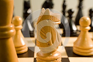 Knight on the chessboard