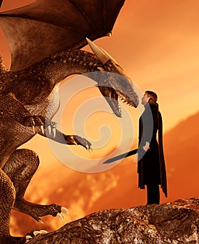 Knight and the Dragon photo