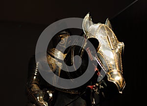 Knight with horse photo