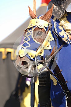 Knight on Horse 2 photo