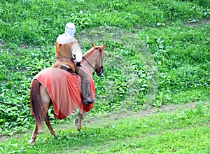 Knight on horseback with medieval scene costume