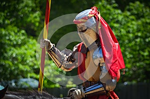 Knight Jousting at Renaissance Festival