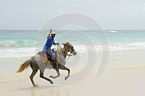 Cavalieri caraibico Paradiso 