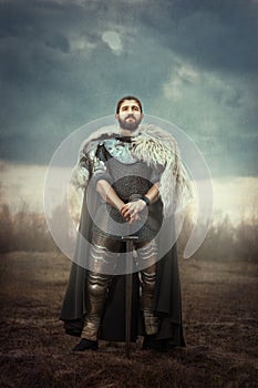 Knight with sword in a field.