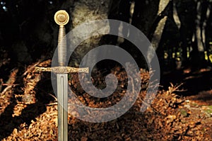 Knight sword in forest