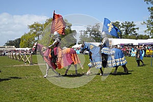 Knights on horses with banners and dress at a show in Ireland stallion donkey pony Clydesdale