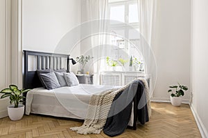 Knit blanket on bed in minimal white bedroom interior with plant