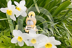 A knitted bee in narcissus flowers.