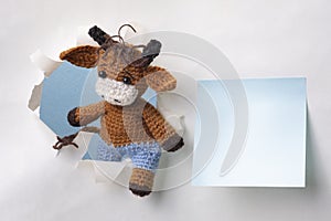Knitted bull symbol of 2021 climbs out of the hole. Blue leaf for text