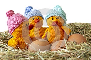 Knitted chicken chicks toy with hats on and eggs.  With meadow hay straw grass