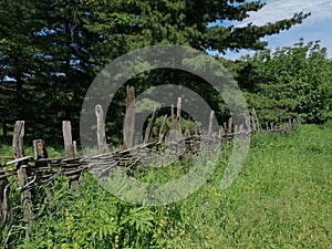 Knitted fence protection for young forest