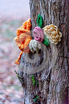 Knitted Flower on tree bark