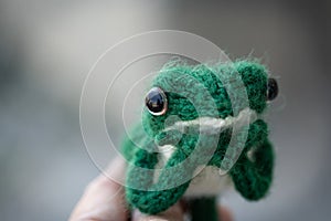 Knitted frog - a toy