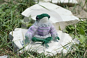 Knitted frog toy sits in grass on the stone