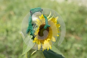 Knitted frog toy on a sunflower