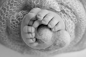 Knitted heart in the legs of a baby. Soft feet of a new born in blanket. Close-up of toes, heels and feet of a newborn.