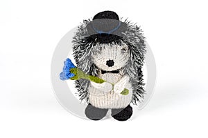 Knitted Hedgehog in a hat with blue flower on white background. amigurumi toys