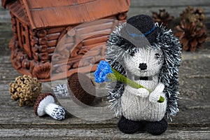 Knitted Hedgehog in a hat with blue flower on wooden background