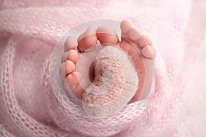 Knitted pink heart in the legs of a baby. Soft feet of a new born in a pink wool blanket.