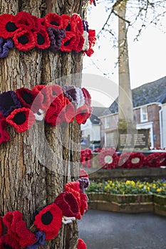 Knitted Poppies Around Tree For Remembrance Day With War Memorial And Poppy Wreaths In Background