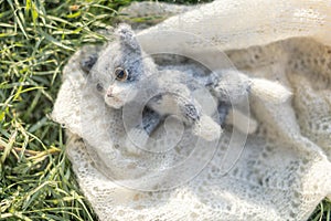 Knitted toy kitten