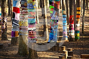 Knitted trees in the park
