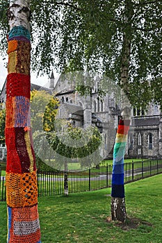 Knitted trees and St. Patrick`s Cathedral in the background