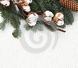 Knitted winter background with fir and branch of cotton plant.